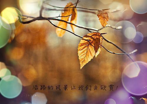 (番外)+(全文)爱在霜雪消融前：笔趣阁+番外爱在霜雪消融前：笔趣阁免费阅读无弹窗大结局_爱在霜雪消融前：笔趣阁结局+番外最新章节列表_笔趣阁爱在霜雪消融前：笔趣阁