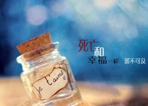 完结文睁眼大婚日，我踹了渣夫抱紧金大腿：版最新章节列表_完结文睁眼大婚日，我踹了渣夫抱紧金大腿：版全文免费阅读（云筝厉无恙）