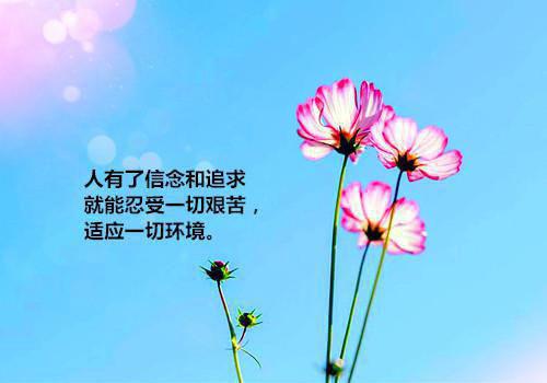 (番外)+(全文)沈知宴凌诺桑宁最新章节免费阅读_（沈知宴桑宁）沈知宴凌诺桑宁全文免费在线阅读_笔趣阁（沈知宴桑宁）