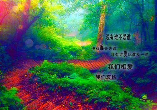 旧忆尘封处：免费+后续（江晚吟林念安）已完结，旧忆尘封处：免费+后续已完结