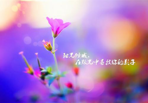 全文浏览无敌神医：打造山村商业帝国（陈长安徐艳）_无敌神医：打造山村商业帝国（陈长安徐艳）全文结局
