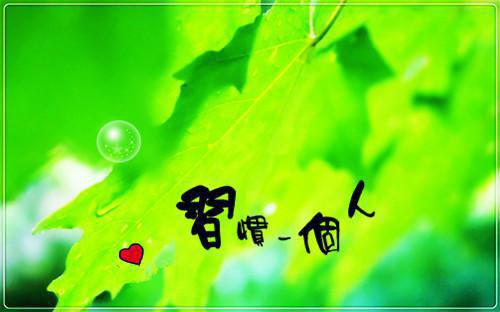 最强仙医（林阳冯雪儿）全章在线无广告高口碑小说