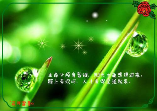 廖北的小说和我过夜的人，全都被我吓疯了：完结廖北梁宇宙全文在线阅读