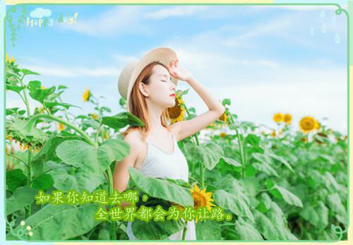 小说后续全文 八零娇娇小姐不要竹马要糙汉：高质量好文小说后续全文方锦意谢思唯完整版在线阅读_方锦意谢思唯（八零娇娇小姐不要竹马要糙汉：高质量好文）完结阅读无弹窗大结局