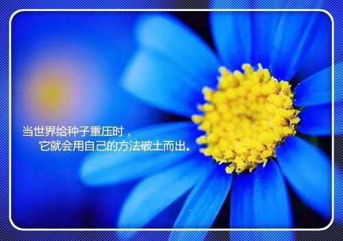 最新章节这一世，我要用满分答卷把作弊的学霸踩在脚下（李威王秃子陈默同）_这一世，我要用满分答卷把作弊的学霸踩在脚下李威王秃子陈默同最新章节