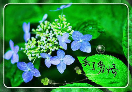长离不见清瑟精品篇江清瑟谢长离一口气看完_书荒时期必读情感力作江清瑟谢长离《长离不见清瑟精品篇》