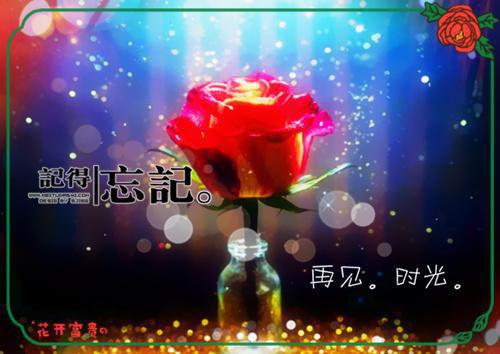 长叹雁归难留：完结爽文精彩分享顾裴延江照璃推荐完本_已完结长叹雁归难留：完结爽文精彩分享（顾裴延江照璃）