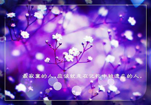 全本闪婚总裁请节制（慕染染贺邵霆）最新章节列表_全本闪婚总裁请节制全文阅读