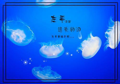 极品天师全文清爽版在线+无广告结局（叶凡月霓裳）