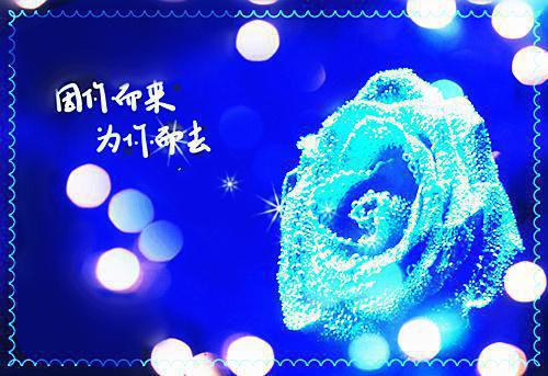 爱意负流年最新小说（祁子安柳依依）全文阅读