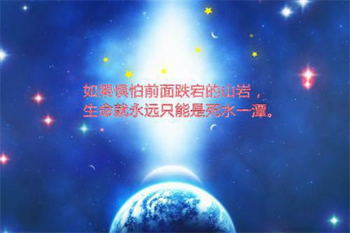 老公把学位让给私生子后，我杀疯了,贺行舟完本全文阅读最新章节_老公把学位让给私生子后，我杀疯了,贺行舟完本全文阅读