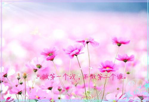杜伟的小说发现祠堂的秘密后，全村无一活口：极佳剧情冯若琳杜伟全文在线阅读