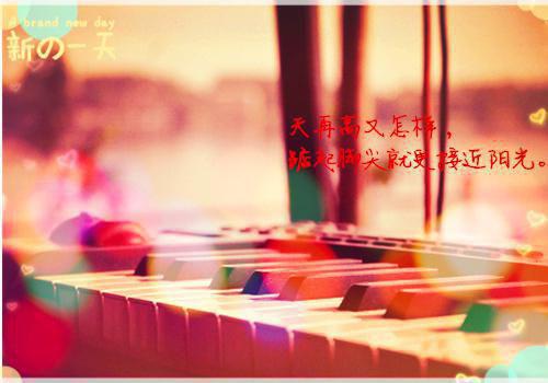全本离婚后，我手持杀猪刀成全民偶像（又名：杀猪二十年，我真不是雨夜屠夫！）（江镜,柳如烟）最新章节列表_全本离婚后，我手持杀猪刀成全民偶像（又名：杀猪二十年，我真不是雨夜屠夫！）全文阅读