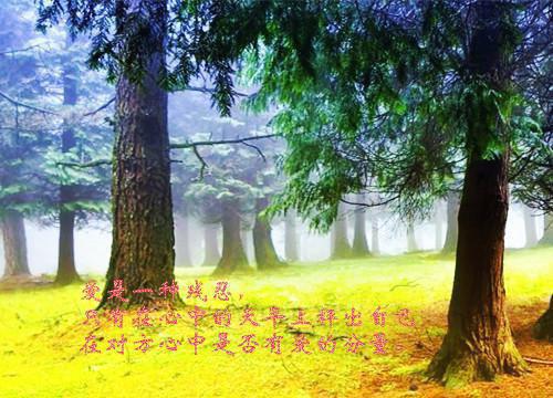 (番外)+(全文)星辰未眠时：小说大结局全文免费阅读无弹窗大结局_星辰未眠时：小说大结局最新章节列表_笔趣阁