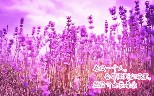 若我沉溺于你的渊陶屿澈：后续+（沈若汐陶屿澈）最新章节_若我沉溺于你的渊陶屿澈：后续+全文阅读