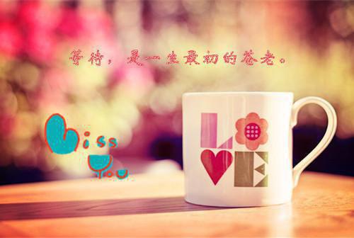 全文浏览重生八零，带崽离婚后转身再高嫁高分完本（傅云瑶沈知远）_重生八零，带崽离婚后转身再高嫁高分完本（傅云瑶沈知远）全文结局