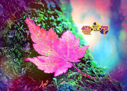(番外)+(全文)兽世月月：结局+番外,苏曦月夜翎墨凛全文免费阅读无弹窗大结局_兽世月月：结局+番外,苏曦月夜翎墨凛最新章节列表_笔趣阁