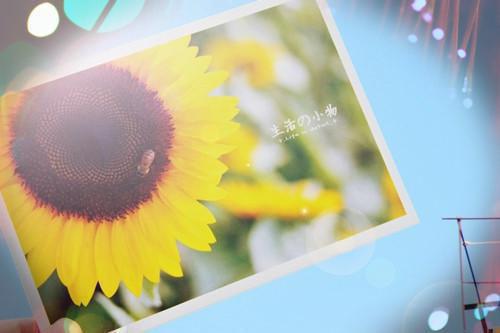 (番外)+(结局)阮青杳陆景琛乔若微（凉薄怎配情深：精彩章节）全文免费阅读无弹窗大结局_(阮青杳陆景琛乔若微)最新章节列表_笔趣阁（凉薄怎配情深：精彩章节）