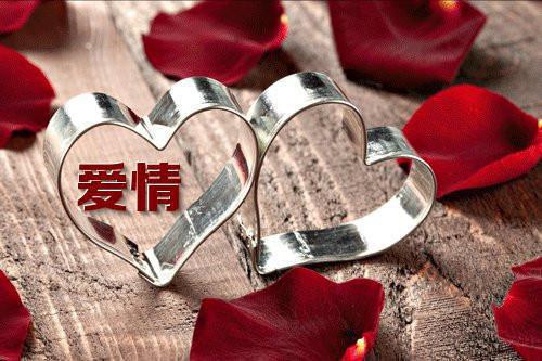 大姐死后读取记忆的弟妹们疯了：精彩节选（林晴林瑶林鹤）已完结，大姐死后读取记忆的弟妹们疯了：精彩节选已完结