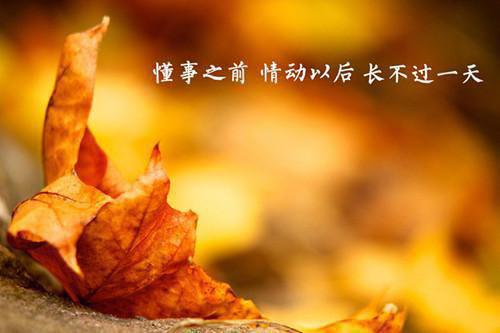 （霍景,岳驰,霍景衡）青妗志：霜在线阅读最近更新