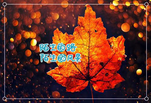 (番外)+(全文)余温散尽时：全文免费txt下载阅读_(许思梨沈辞越)余温散尽时：全文免费最新章节列表_笔趣阁（许思梨沈辞越）