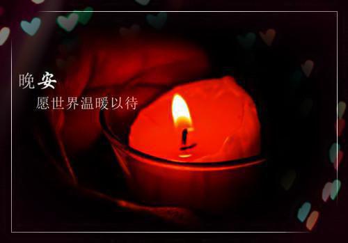 杨策抬头望着刺眼的阳光全文阅读_杨策秦月瑶小说免费阅读