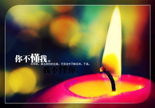 全文免费沈昼唐愿（又名：离婚后，被装乖奶狗缠疯了）_沈昼唐愿（又名：离婚后，被装乖奶狗缠疯了）全文免费