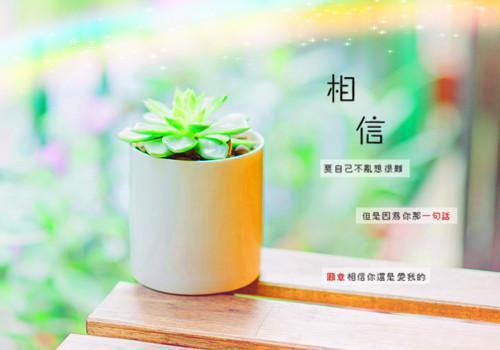 盛景如诗不歇/顾崇高重生后，发现自己回到了：已完结_盛景如诗不歇/顾崇高重生后，发现自己回到了：最新章节