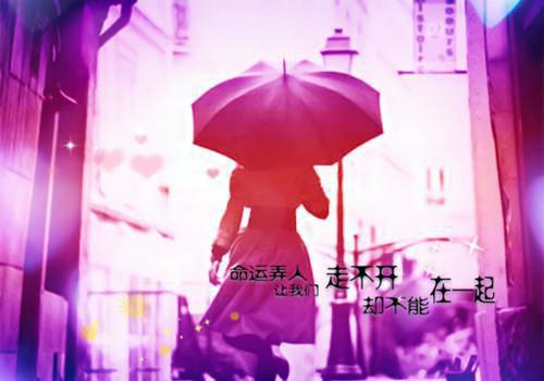 不小心攻略了疯批大佬完结版小说全章节目录阅读