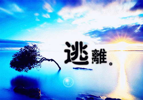 玫瑰枯萎爱不再生：（沈晚晚周砚）全文浏览_玫瑰枯萎爱不再生：全文浏览