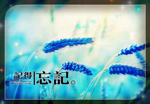 侯府有眼不全文清爽版在线+无广告结局（侯府,郑小,贵女）