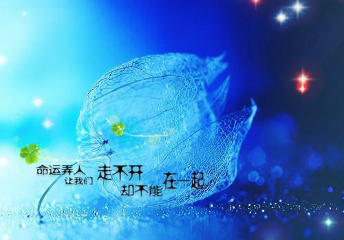 阮雾梨闻砚辞：最新章节_阮雾梨闻砚辞：全文阅读