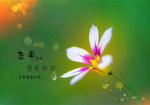 浅水夭夭的小说农门医女：穿成后娘心慌慌周小桃秦贺全文在线阅读