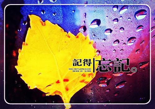 (番外)+(全文)陆依霜轩辕翊txt下载阅读_(轩辕翊陆依霜)陆依霜轩辕翊最新章节列表_笔趣阁（轩辕翊陆依霜）