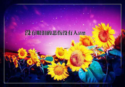 海棠影下爱难寻免费最新章节列表_海棠影下爱难寻免费全文免费阅读(白若欢宋衍舟徐蔓蔓周云骁)