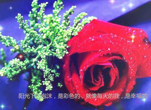 无广告全文（顾宴京棠黎沈安白）山遥月渐隐顾宴京：+后续隐藏篇章+续集