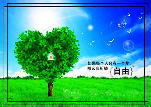爱于燃尽新生老书虫全文阅读（顾云霄孟卿月）最新章节_爱于燃尽新生老书虫全文阅读