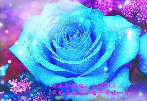 无端却被春风误热门榜单整本阅读（孟南汐宋祁钰）