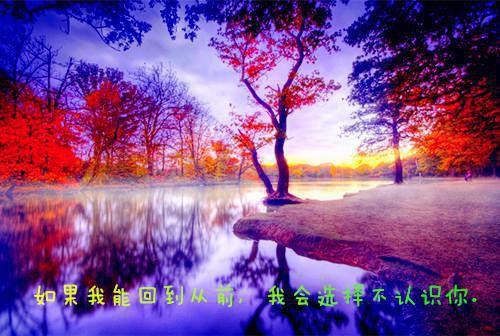 男友为追富二代让我假扮助理（任梦凡高博）终章阅读无广告
