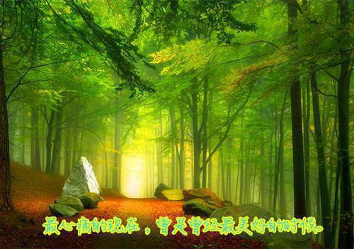 小透明逆袭：误撩后被大佬宠上天：节选（许惟昭方肃礼）最新推荐_最新推荐小透明逆袭：误撩后被大佬宠上天：节选（许惟昭方肃礼）