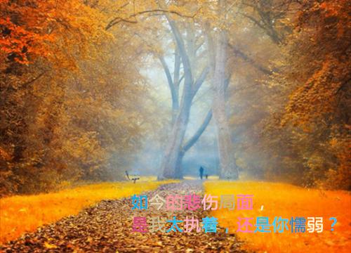 辜负真心后,我的报应来了：完结+结局+番外最新章节列表_辜负真心后,我的报应来了：完结+结局+番外全文免费阅读(阮软顾珩)