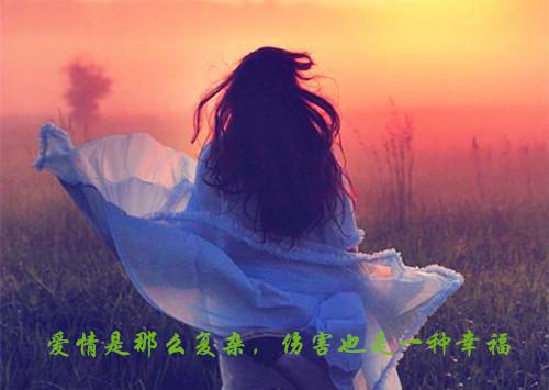 沈若璃盛奕年苏漫（又名：梧桐秋色里看你）最新推荐_最新章节阅读沈若璃盛奕年苏漫（又名：梧桐秋色里看你）