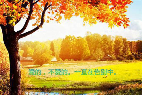 陆闻舟林乔月（又名：繁星跌落无你的夜）全文阅读最新章节_陆闻舟林乔月（又名：繁星跌落无你的夜）全文阅读