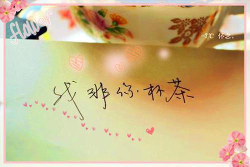 (番外)+(全文)流年落尽空白首:向婉宁顾辞：结局+番外火爆情节最新章节免费阅读_（向婉宁顾辞）流年落尽空白首:向婉宁顾辞：结局+番外火爆情节全文免费在线阅读_笔趣阁（向婉宁顾辞）