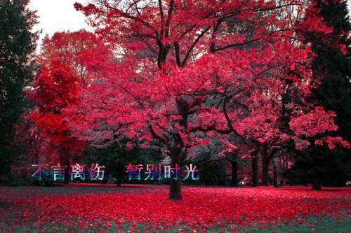 (番外)+(全文)假千金朝我下跪后我被送去边境遭受折磨免费下载阅读_（荣灵清荣婉月）假千金朝我下跪后我被送去边境遭受折磨最新章节列表_笔趣阁（荣灵清荣婉月）