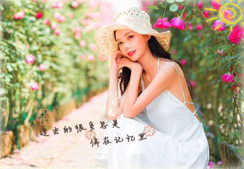 （顾砚廷慕晚夏）苔藓爬满旧日诺言：人气小说在线阅读最近更新