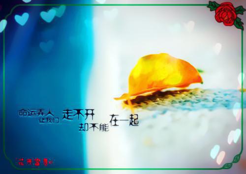 命运轮转，万千思意：全局陆思琪顾斌推荐完本_已完结命运轮转，万千思意：全局（陆思琪顾斌）