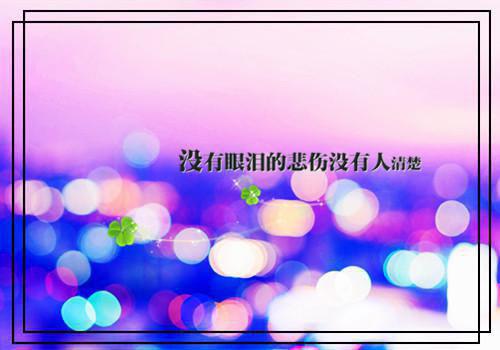 梦里灯火不渡我：结局+番外灵魂人物全文阅读（叶摘星许砚寒）最新章节_梦里灯火不渡我：结局+番外灵魂人物全文阅读