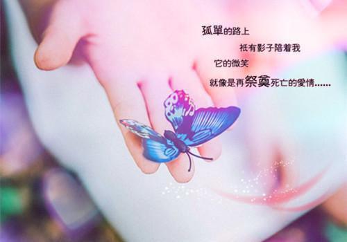 韶光转瞬逝：高分完本（孟哲煦许清梨）已完结，韶光转瞬逝：高分完本已完结