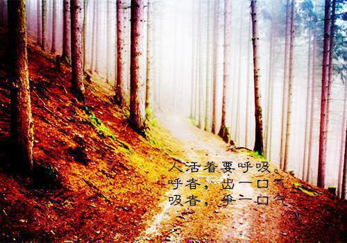 孟南汐的小说无端却被春风误：在线孟南汐宋祁钰全文在线阅读